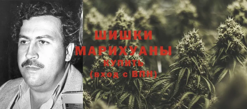 Бошки марихуана THC 21%  Бирюсинск 